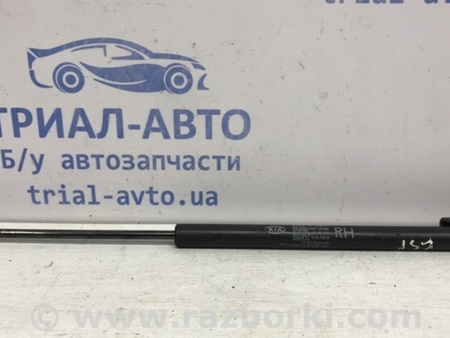ФОТО Амортизатор крышки багажника для KIA Sportage SL (2010-2015) Киев