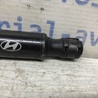 ФОТО Амортизатор капота для Hyundai Santa Fe DM (12-18) Киев