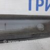 ФОТО Молдинг двери задней левой для Lexus RX350 Киев