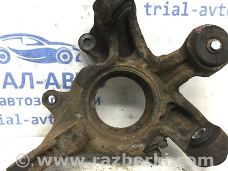 ФОТО Цапфа задняя правая для Lexus RX350 Киев