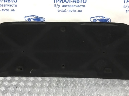 ФОТО Обшивка капота для Lexus RX350 Київ