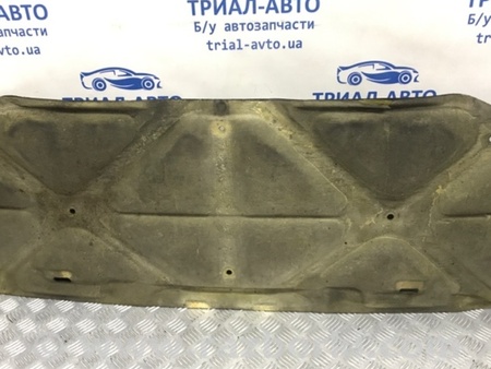 ФОТО Обшивка капота для Lexus RX350 Київ