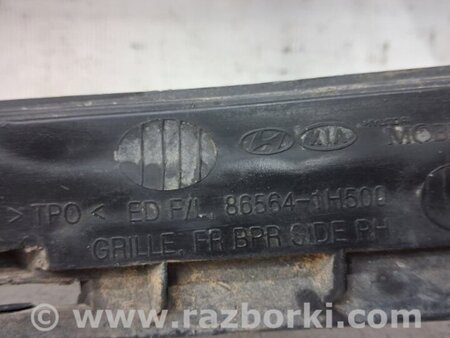 ФОТО Решетка противотуманки правая для KIA Ceed Киев
