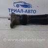 ФОТО Амортизатор задний для KIA Ceed Киев