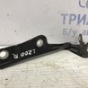 ФОТО Петля капота правая для Mitsubishi L200 (06-14) Киев