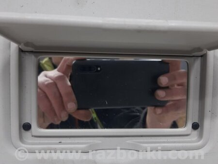 ФОТО Козырек солнцезащитный правый для Nissan Juke (10-19) Киев