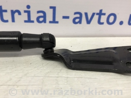 ФОТО Амортизатор крышки багажника для Nissan Juke (10-19) Киев