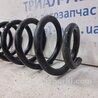 ФОТО Пружина задняя для Nissan Qashqai/Roque Sport (2014-2017) Киев