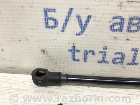 ФОТО Амортизатор крышки багажника для Nissan Qashqai/Roque Sport (2014-2017) Киев