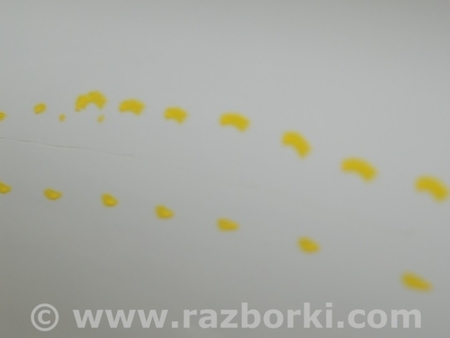 ФОТО Дверь голая зад лев для BMW 3 F30 Одесса