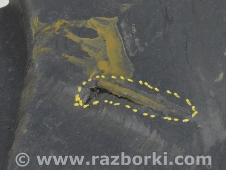 ФОТО Подкрылок передний левый нижняя часть для BMW X5 G05 (2018-) Одесса