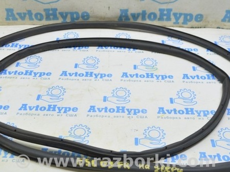 ФОТО Уплотнитель двери перед прав для Ford Escape 3 (01.2012-12.2018) Одесса