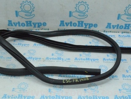 ФОТО Уплотнитель дверного проема перед прав для Ford Escape 3 (01.2012-12.2018) Одесса