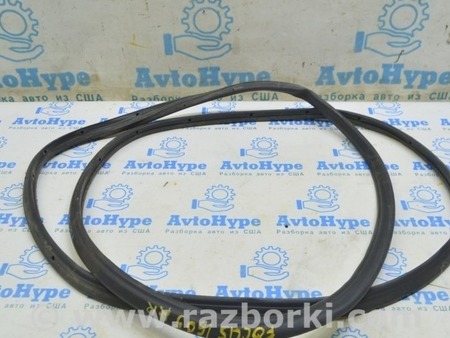 ФОТО Уплотнитель двери зад прав для Ford Focus 3 (01.2010 - 03.2018) Одесса