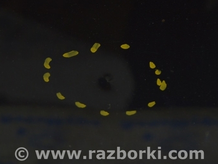 ФОТО Дверь в сборе передняя правая для Ford C-Max Mk1, Mk2 Одесса