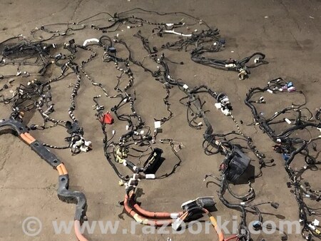 ФОТО Проводка подторпедная для Ford C-Max Mk1, Mk2 Одесса