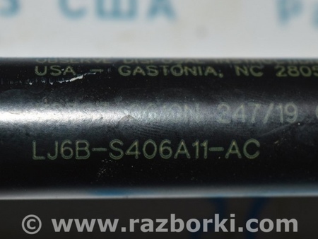 ФОТО Амортизатор двери багажника лев для Ford Escape 4 (01.2018-...) Одесса