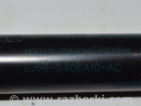 ФОТО Амортизатор двери багажника прав для Ford Escape 4 (01.2018-...) Одесса