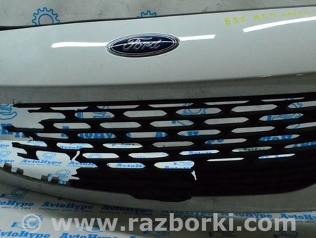 ФОТО Решетка радиатора grill для Ford Escape 4 (01.2018-...) Одесса
