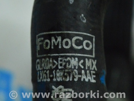 ФОТО Патрубок охлаждения для Ford Escape 4 (01.2018-...) Одесса