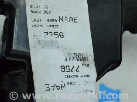 ФОТО Проводка двигателя вторая для Ford Escape 4 (01.2018-...) Одесса