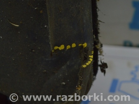 ФОТО Защита двигателя для Ford Escape 3 (01.2012-12.2018) Одесса