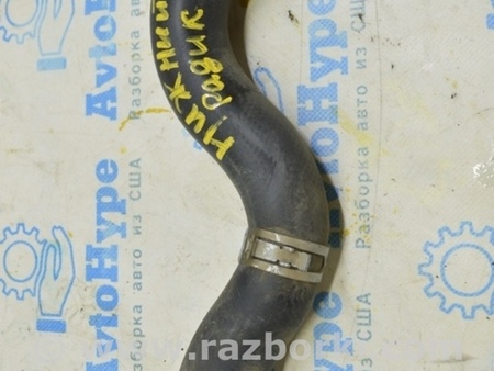 ФОТО Патрубок охлаждения нижний для Honda Clarity PHEV (04.2017-...) Одесса