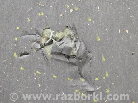 ФОТО Изоляция капота для Infiniti QX60/JX35 Одесса