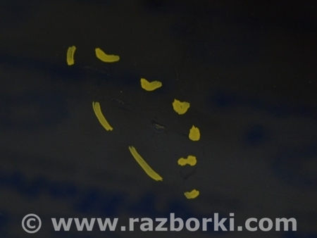 ФОТО Дверь голая перед лев для Mercedes-Benz GL-CLASS X164 (06-12) Одесса