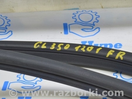 ФОТО Уплотнитель дверного проема перед прав для Mercedes-Benz GL-CLASS X164 (06-12) Одесса