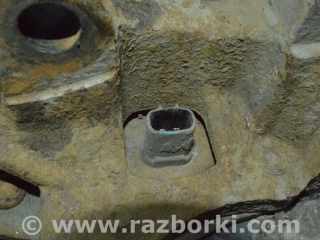 ФОТО Цапфа голая зад прав для Toyota Avalon XX30 (12.2004-10.2012) Одесса