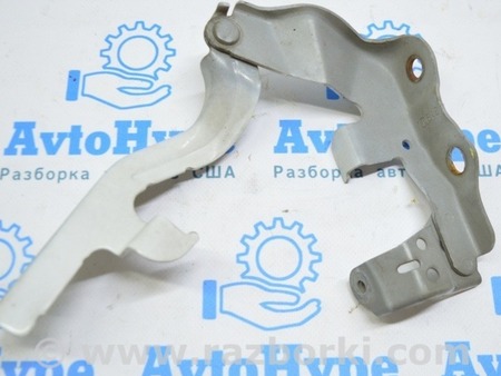 ФОТО Петля капота левая для Toyota Camry 50 XV50 (11-14) Одеса