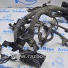 ФОТО Проводка моторная usa/euro для Toyota Camry 50 XV50 (11-14) Одеса