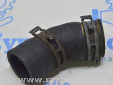 ФОТО Патрубок охлаждения нижний части для Volkswagen T5 Transporter, Caravelle, Multivan (03-15) Одесса