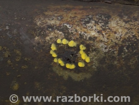 ФОТО Глушитель задняя часть с бочкой для Volkswagen T5 Transporter, Caravelle, Multivan (03-15) Одесса