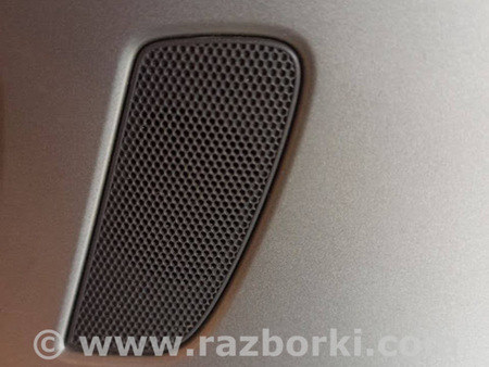 ФОТО Сетка динамика для Audi (Ауди) A6 C7 (11.2010-10.2018) Львов