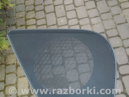 ФОТО Сетка динамика для Audi (Ауди) A6 C7 (11.2010-10.2018) Львов