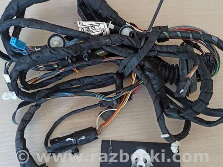 ФОТО Жгут проводов двери для BMW 3 GT F34 Львов