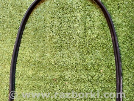 ФОТО Резинка шва двери для BMW 5 G30 Львів