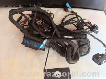 ФОТО Жгут проводов двери для BMW 5 G30 Львів