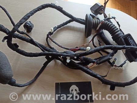 ФОТО Жгут проводов двери для BMW 5 G30 Львів