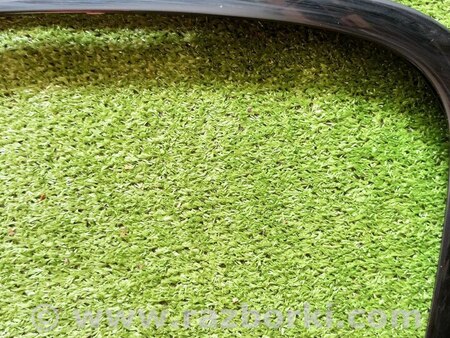 ФОТО Накладка рамы окна для BMW 5 G30 Львов