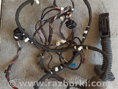 ФОТО Жгут проводов двери для BMW X3 G01 Львів