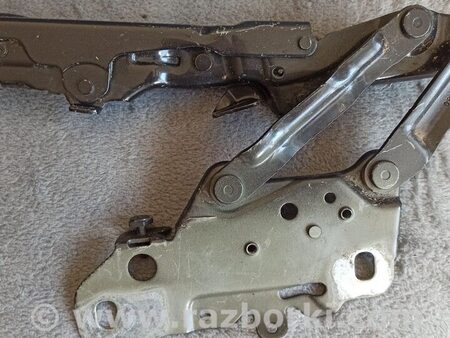 ФОТО Петля капота для BMW X3 G01 Львів