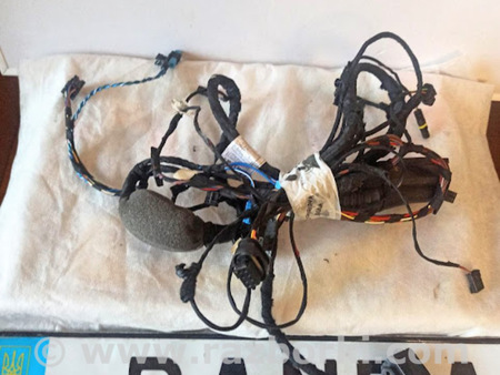 ФОТО Проводка двери для BMW X3 G01 Львів