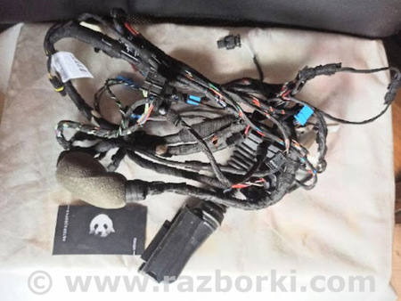 ФОТО Проводка двери для BMW X3 G01 Львів