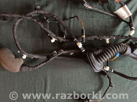 ФОТО Проводка двери для BMW X5 G05 (2018-) Львов