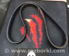 ремінь генератора Jaguar X-Type