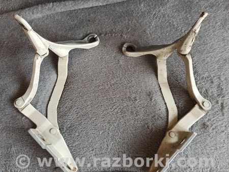 ФОТО Петля двери багажника для MINI Cabrio F57 (10.2015-...) Львов