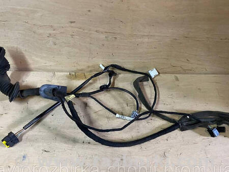 ФОТО Проводка левых передних дверей для Renault Kangoo II (07-21) Костопіль